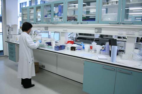 Laboratory staff at work